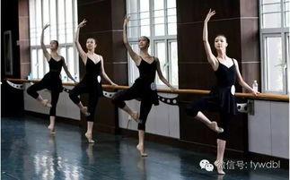 吃瓜体育生和舞蹈室1v1,校园风云对决