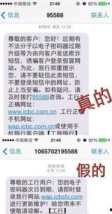 热点爆料官方,官方最新动态大曝光！